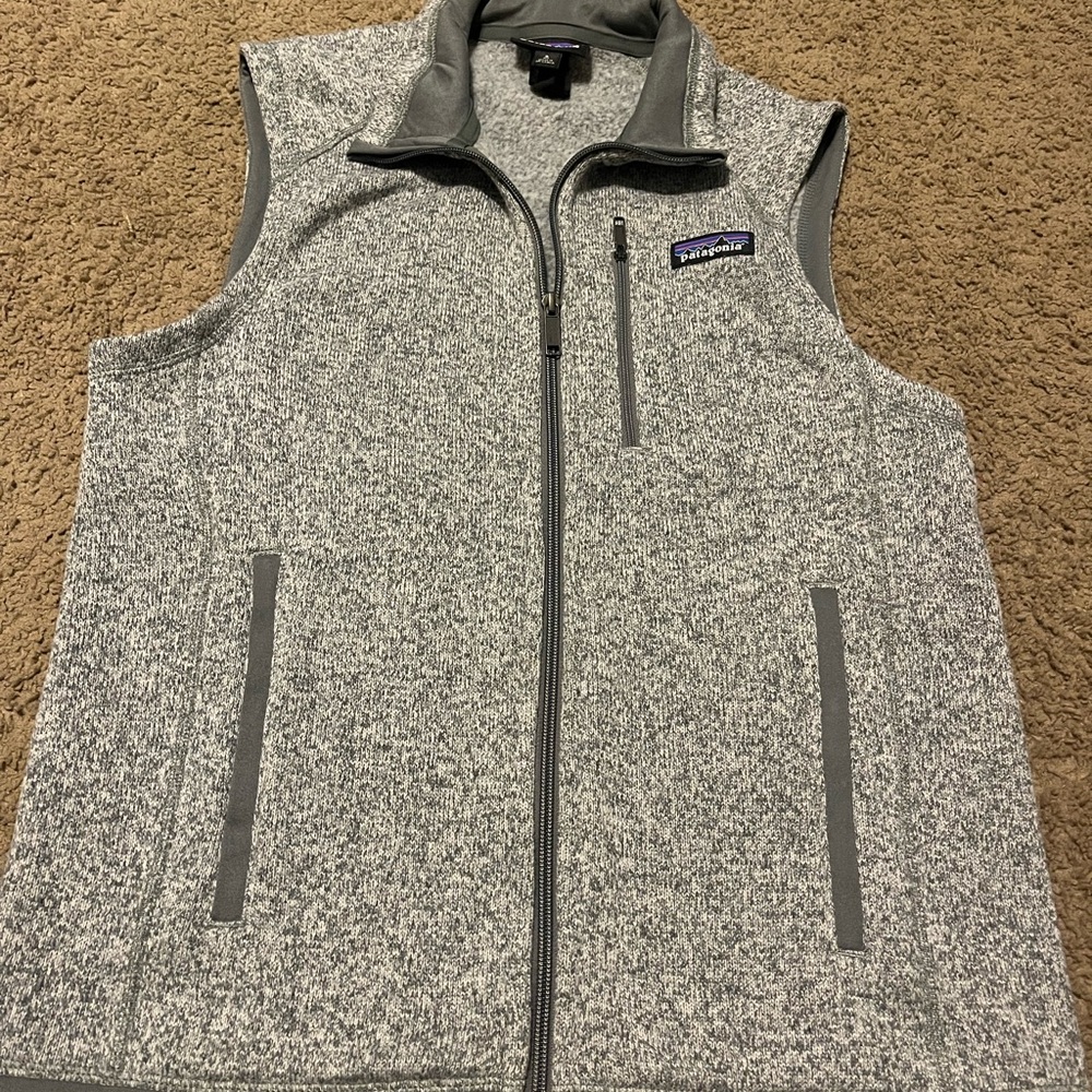 Patagonia Men's Heather Gray Vest